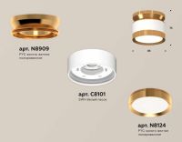 Комплект накладного светильника Ambrella light Techno Spot XS (N8909, C8101, N8124) XS8101060