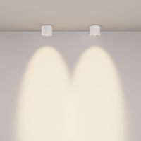 Накладной светильник Maytoni Lens C217CL-15W3K-W
