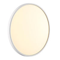 Потолочный светильник Sonex Alfa white 7659/40L