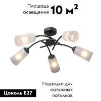 Потолочная люстра Vitaluce V2850-1/5PL