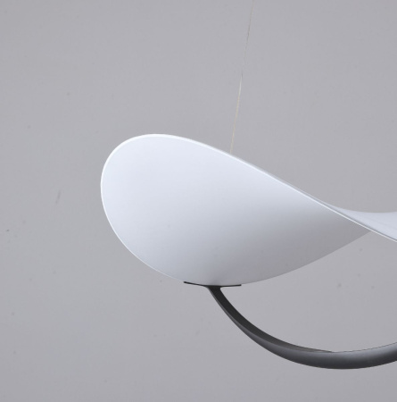 Подвесной светильник Zortes Quincy ZRS.1585.13