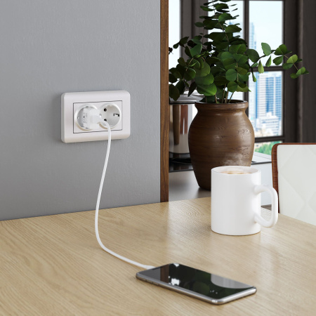 Рамка для двойной розетки перламутровый WL12-Frame-01-DBL Werkel