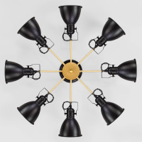 Люстра на штанге Eurosvet 70112/8 черный