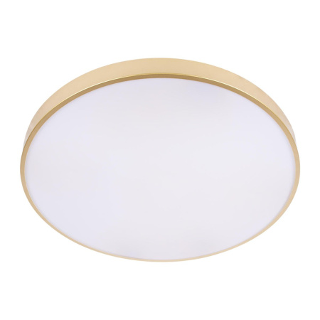 Потолочный светильник Loft IT Flims 10228/B