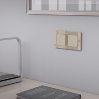 Сенсорный выключатель двухклавишный с функцией Wi-Fi Werkel шампань W4520611