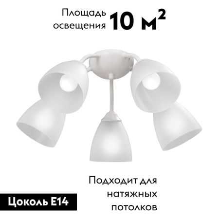 Потолочная люстра Vitaluce V3737-0/5PL