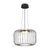 Подвесной светильник Freya Citrus FR5398PL-L8B