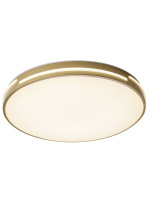 Потолочный светильник Zortes Gabby ZRS.90610.50