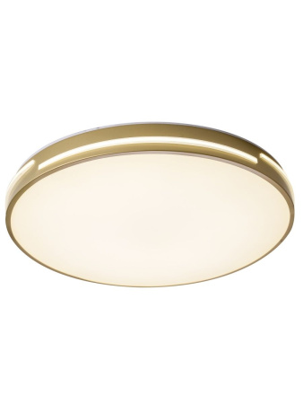 Потолочный светильник Zortes Gabby ZRS.90610.50