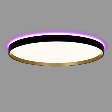 Потолочный светильник Citilux Etalon CL750501R