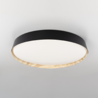 Потолочный светильник Citilux Bonny CL754451G