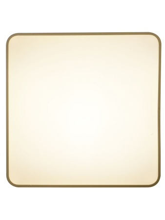 Потолочный светильник Zortes Gabby ZRS.1215.04