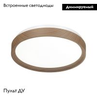 Настенно-потолочный светильник Sonex Woodi 7603/EL