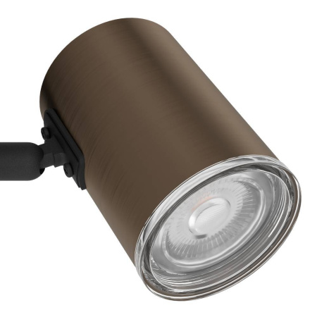 Спот Eglo Consuma 1 300587