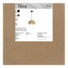 Подвесной светильник Freya Terra FR5514PL-01B