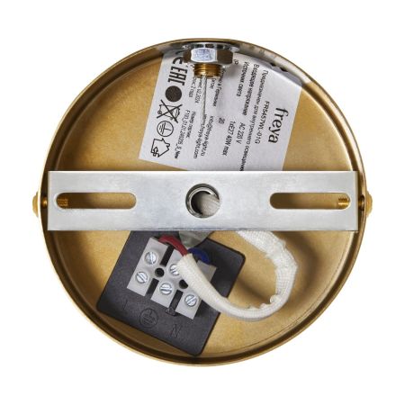 Настенный светильник Freya Cosmic FR5457WL-01G