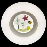 Потолочная люстра Reluce 01023-0.3-01A