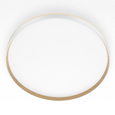 Накладной светильник Citilux Etalon CL750500R