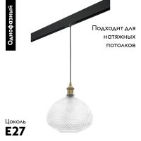Трековый светильник Lightstar Genni PRO798031 (798031+595007)