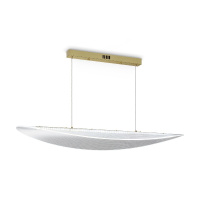 Подвесная люстра Freya Cloud FR5441PL-L40G