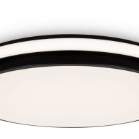 Потолочный светильник Freya Pie FR6086CL-L117B
