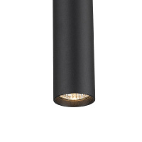 Трековый однофазный светильник Escada 20001TRP/01 SBK