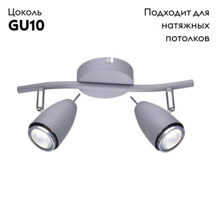 Спот Arte Lamp Regista A1966AP-2GY
