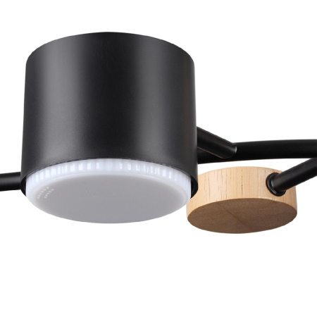 Люстра на штанге Lumion Crypto 8194/5C