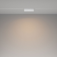 Трековый магнитный светильник Maytoni Basis Rot TR036-4-12WTW-DD2-W