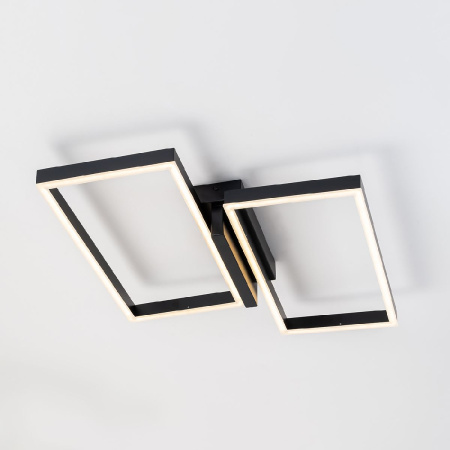 Потолочный светильник Escada Scales 10209/2LED Black