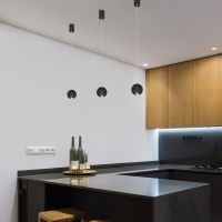 Подвесной светодиодный светильник Elektrostandard Giro 50215/1 Led черный