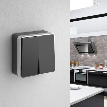 Выключатель двухклавишный Gallant черный/хром WL15-03-01 Werkel