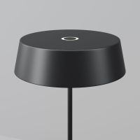Уличный переносной аккумуляторный светильник Maytoni Porto O540TL-L2BCCT