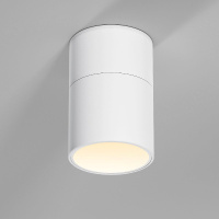 Накладной спот Elektrostandard Rolly 25112/LED белый a067486