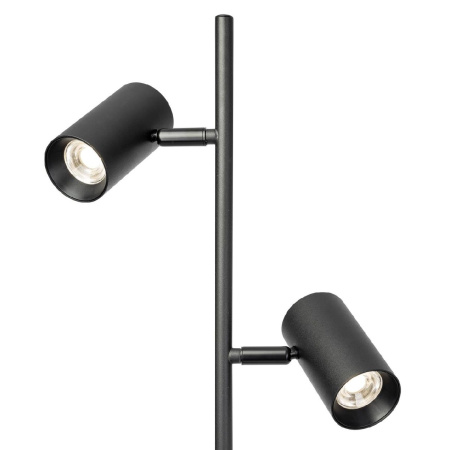 Торшер Citilux Twin CL809011N