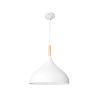 Подвесной светильник Arte Lamp Kayla A7101SP-1WH