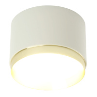 Потолочный светильник Feron HL459 Barrel DUET 52022