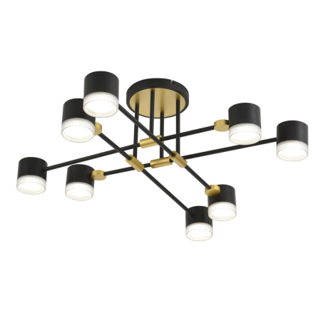 Потолочный светильник Lumion Comfi Leniana 8307/8C