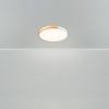 Потолочный светильник Freya Sprida FR6129CL-L80W