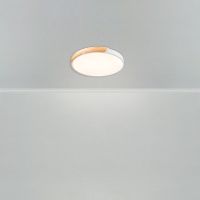 Потолочный светильник Freya Sprida FR6129CL-L80W