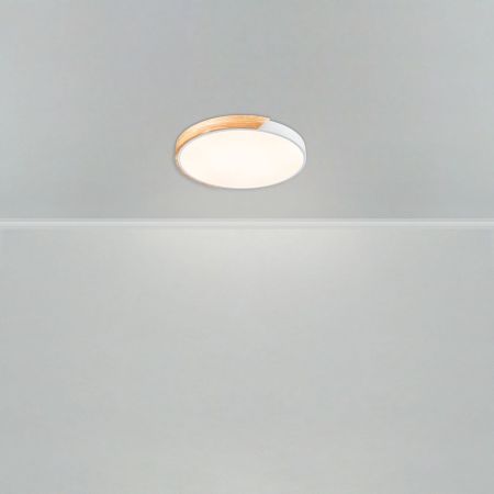 Потолочный светильник Freya Sprida FR6129CL-L80W
