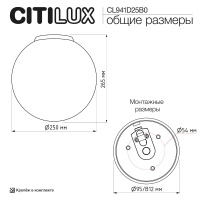 Потолочный светильник Citilux Ron CL941D25B0