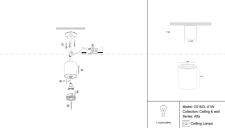 Потолочный светильник Maytoni Alfa C016CL-01W