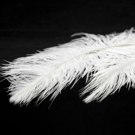 Подвесная люстра Lussole LSP-8601