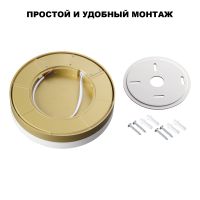 Уличный потолочный светильник с переключателем цв. температуры и мощности Novotech Street Opal 359733