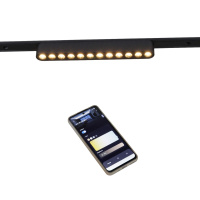 Трековый магнитный светильник (CCT+SMART) Reluce 13002-9.3-001UR magnetic LED12W BK CCT+SMART