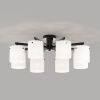 Потолочная люстра Eurosvet Glimmer 501001/8 черный жемчуг a072605