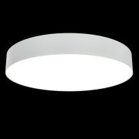 Потолочный светильник Maytoni Technical Zon C032CL-L48W3K