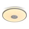 Потолочный светильник Freya Rond FR6226CL-L36W