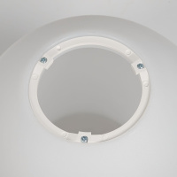 Потолочный светильник Citilux Ron CL941D25B5